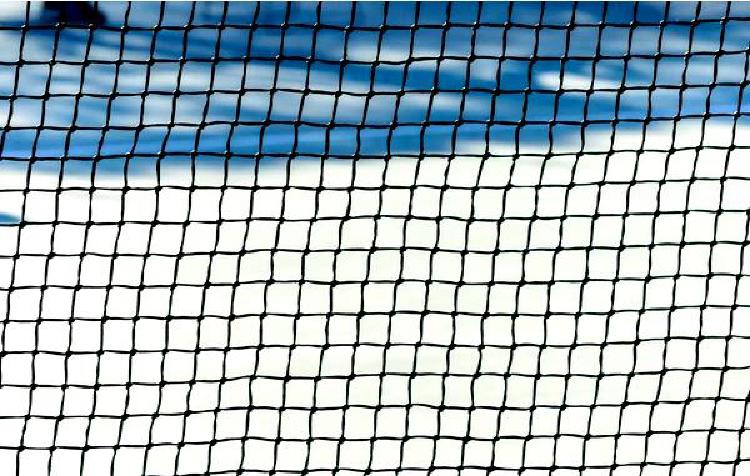 Уничтожьте угрозы: битва тенниса за выживание дикой природы